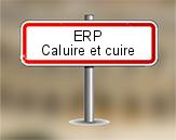 ERP à Caluire et Cuire